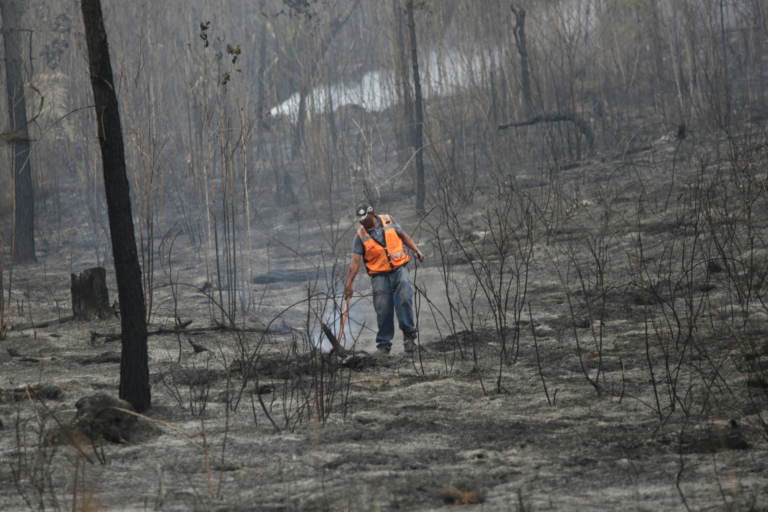 Fotografía del 19 de abril de 2026 de un hombre caminando por una zona donde ocurrió un incendio forestal en la aldea La Montañita, al oriente de Tegucigalpa (Honduras). EFE/ Gustavo Amador
