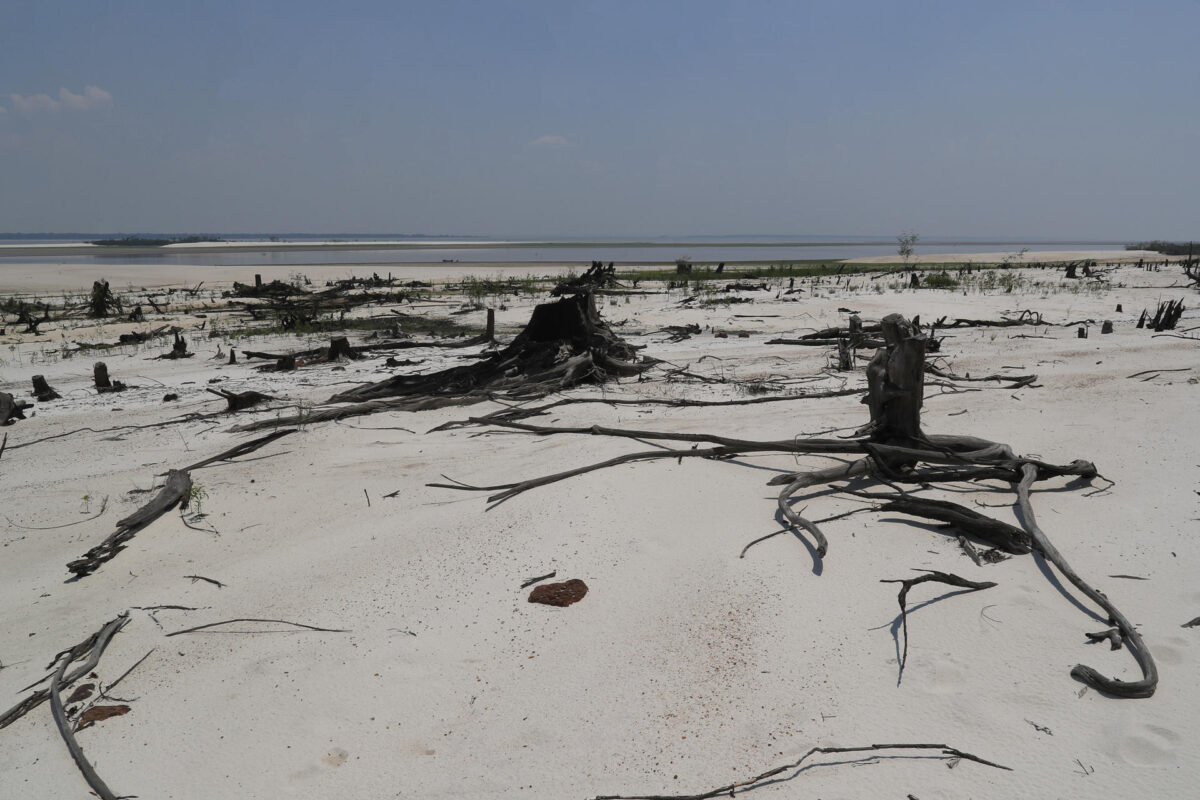 Fotografía de archivo del 28 de octubre de 2023 donde se muestra una zona de río Negro afectada por una sequía en el estado de Amazonas (Brasil). EFE/ André Coelho