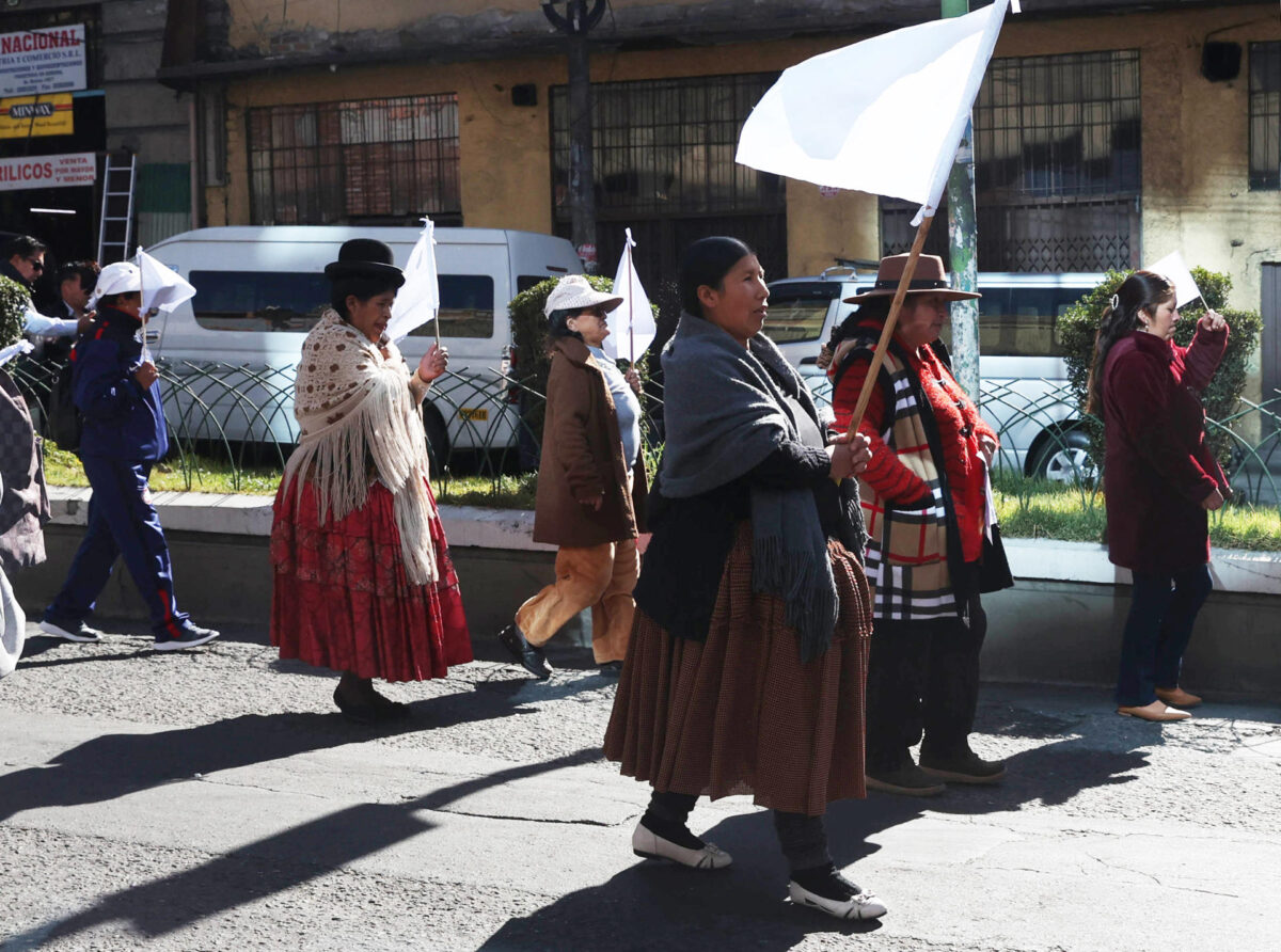 Un grupo de personas fue captado este 8 de junio, durante una marcha para exigir el desbloqueo de vías y la pacificación de Bolivia, en La Paz. EFE/Luis Gandarillas
