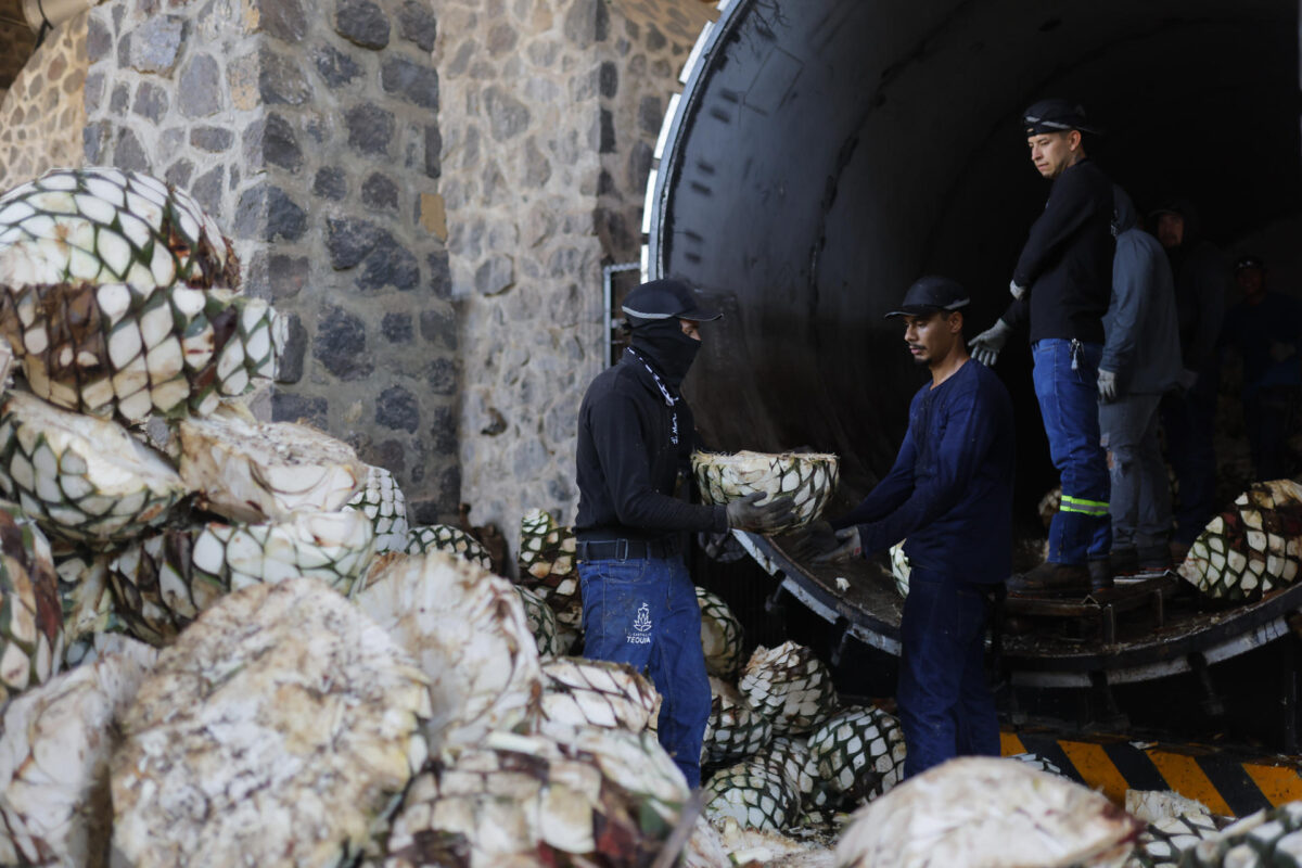 Personas trabajan en una destilería de tequila este viernes, en Guadalajara, Jalisco (México). EFE/ Francisco Guasco