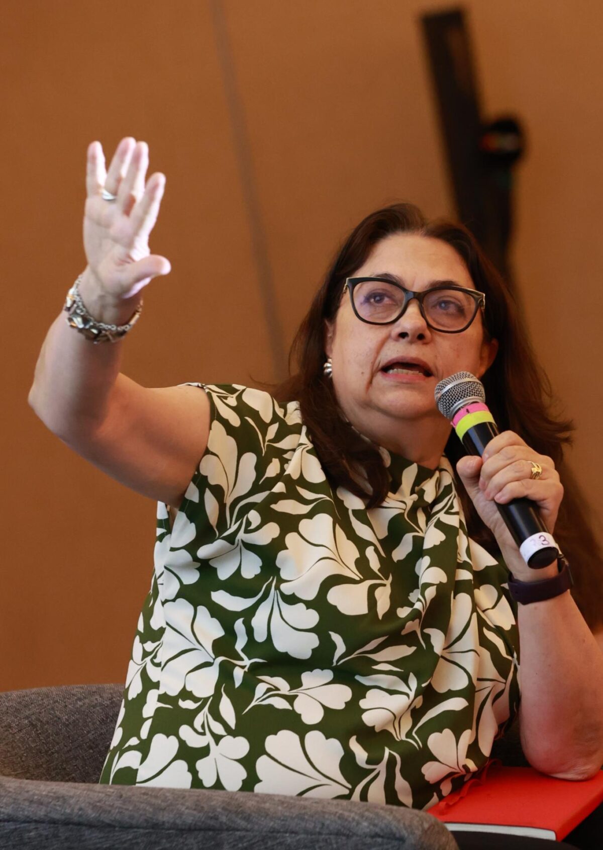 La directora general de Gestión y Conservación de Mares y Costas de Semarnat, Margarita Caso, habla durante una rueda de prensa este martes, en la que señaló que hay que adaptarse a las condiciones extremas que traerá el fenómeno climático El Niño, en Ciudad de México (México). EFE/ Mario Guzmán