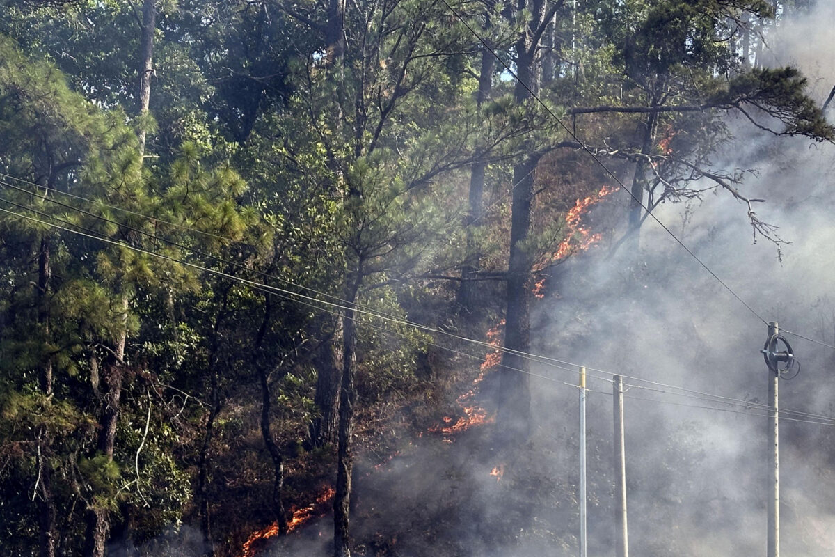 Fotografía del 23 de mayo de 2026 que muestra un incendio forestal en un bosque en Olancho (Honduras). EFE/ Germán Reyes