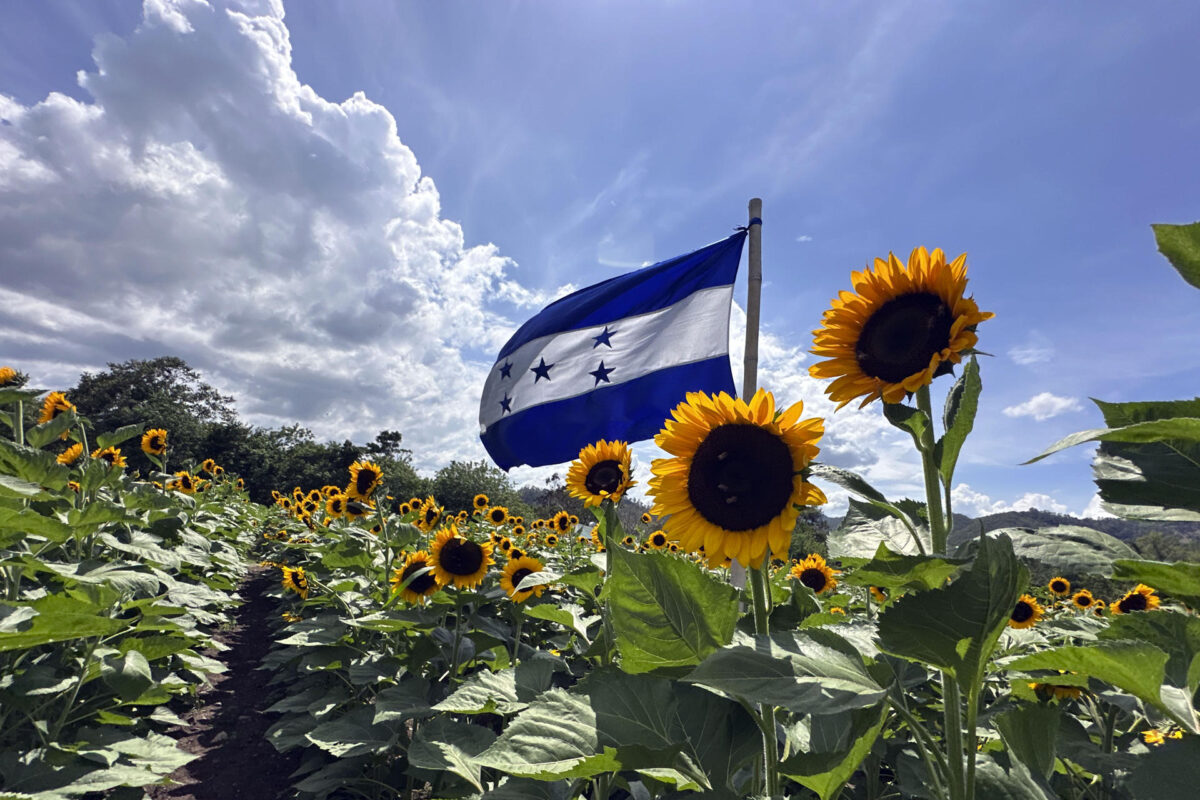 Fotografía que muestra el Paseo de los Girasoles de Copán Ruinas (Honduras). EFE/ Germán Reyes