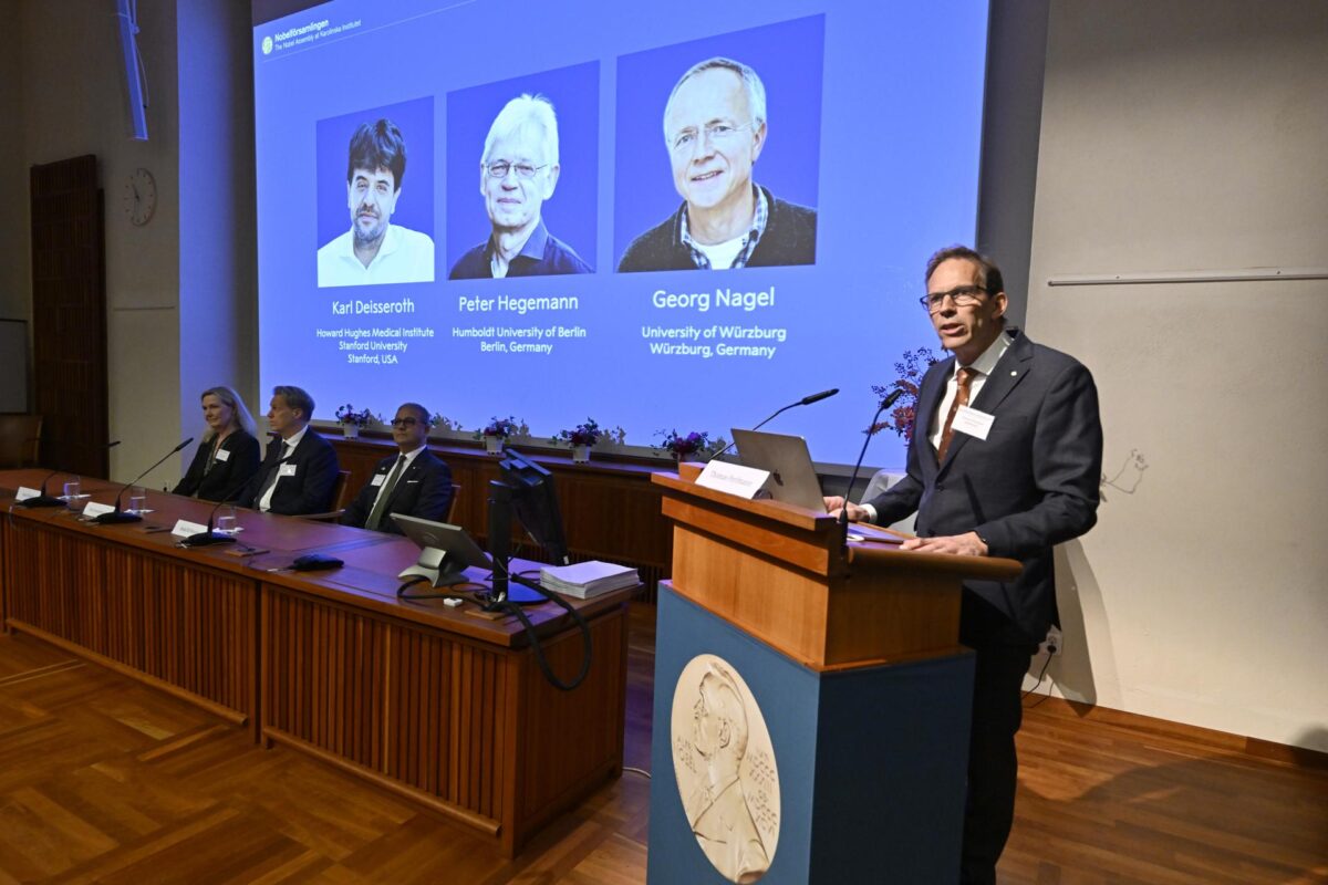 EFE/EPA/PONTUS LUNDAHL SWEDEN OUT