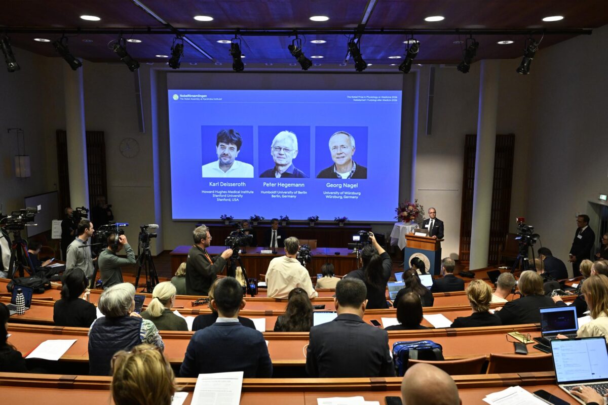 EFE/EPA/PONTUS LUNDAHL SWEDEN OUT